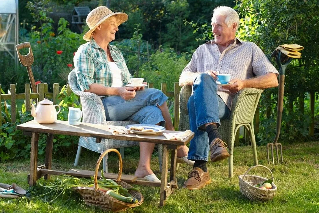 Яндекс картинки