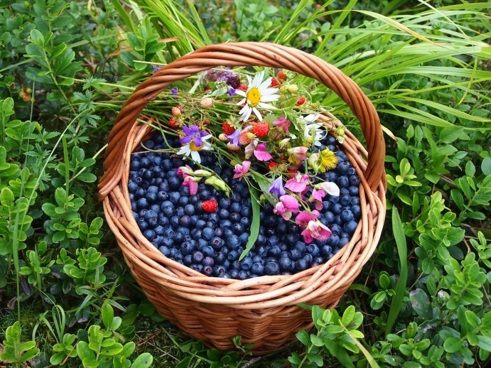 Маленькие радости... 