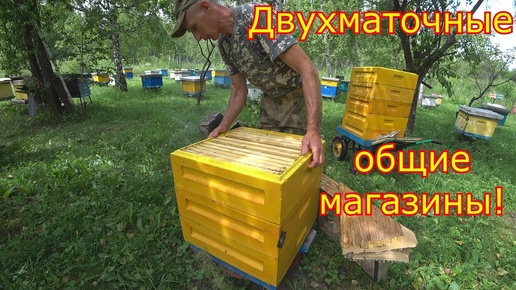 ДВУХМАТОЧНЫЕ!!! Ставим ОБЩИЕ магазины! Расширение на главном взчтке!