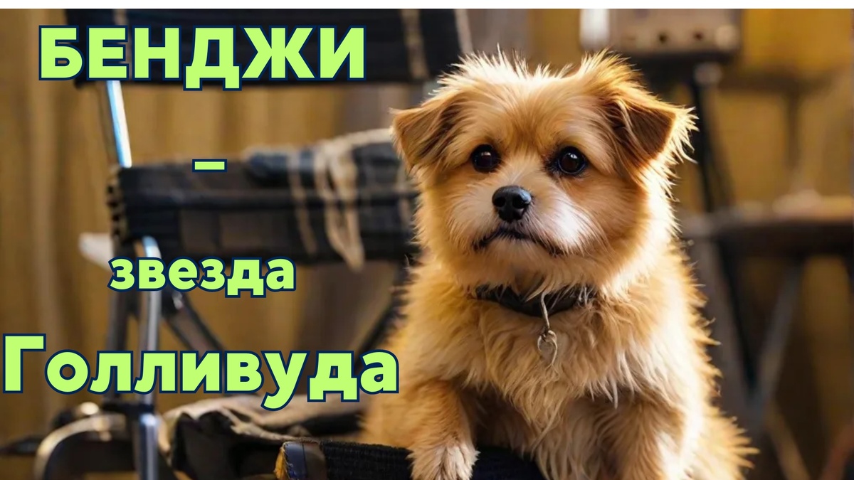 Изображение изготовлено автором