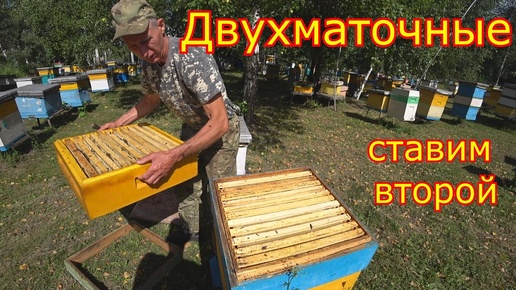 ДВУХМАТОЧНЫЕ! залили МЁДОМ магазин! СТАВИМ ВТОРОЙ ВРАЗРЕЗ!