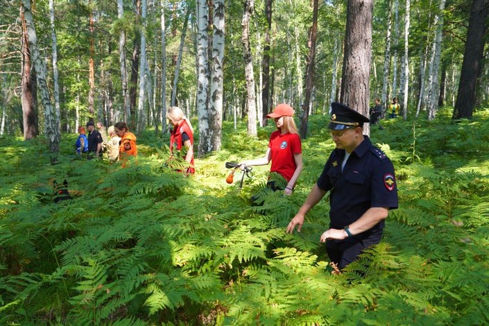    Прочес леса