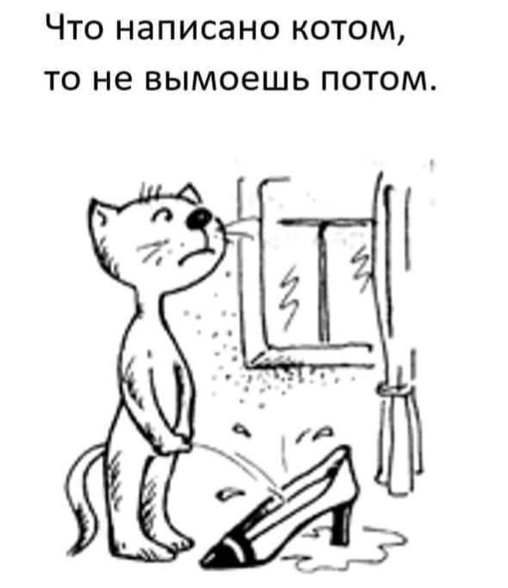 #котоюмор #nevropax