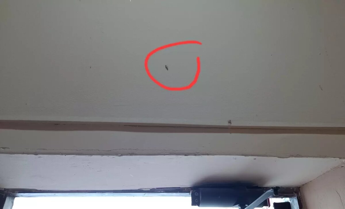     Источник: 2 ГИС