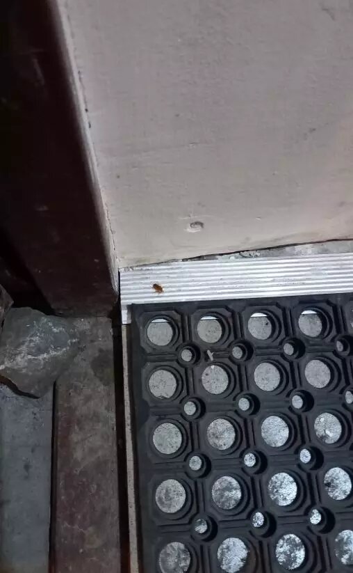     Источник: 2 ГИС