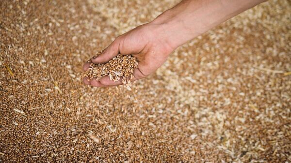    © Sputnik / Виталий Тимкив