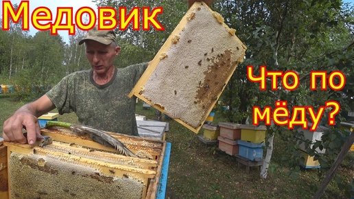 МЕДОВИК, ЧТО по МЁДУ!!! Первая качка мёда 2024г