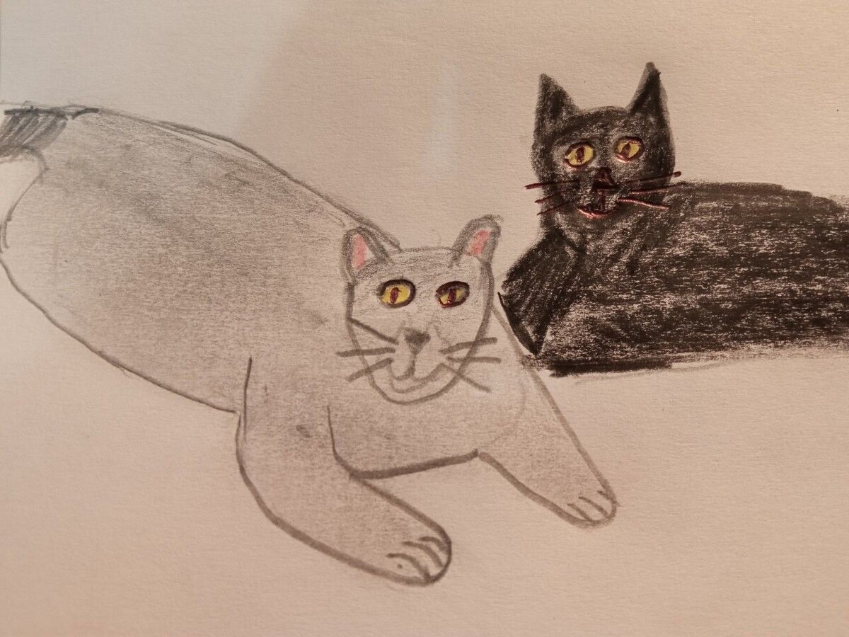 Котики, которые напомнили мне моих Кузю и Малыша. 
