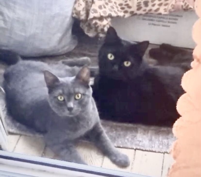 Мои красавчики. 