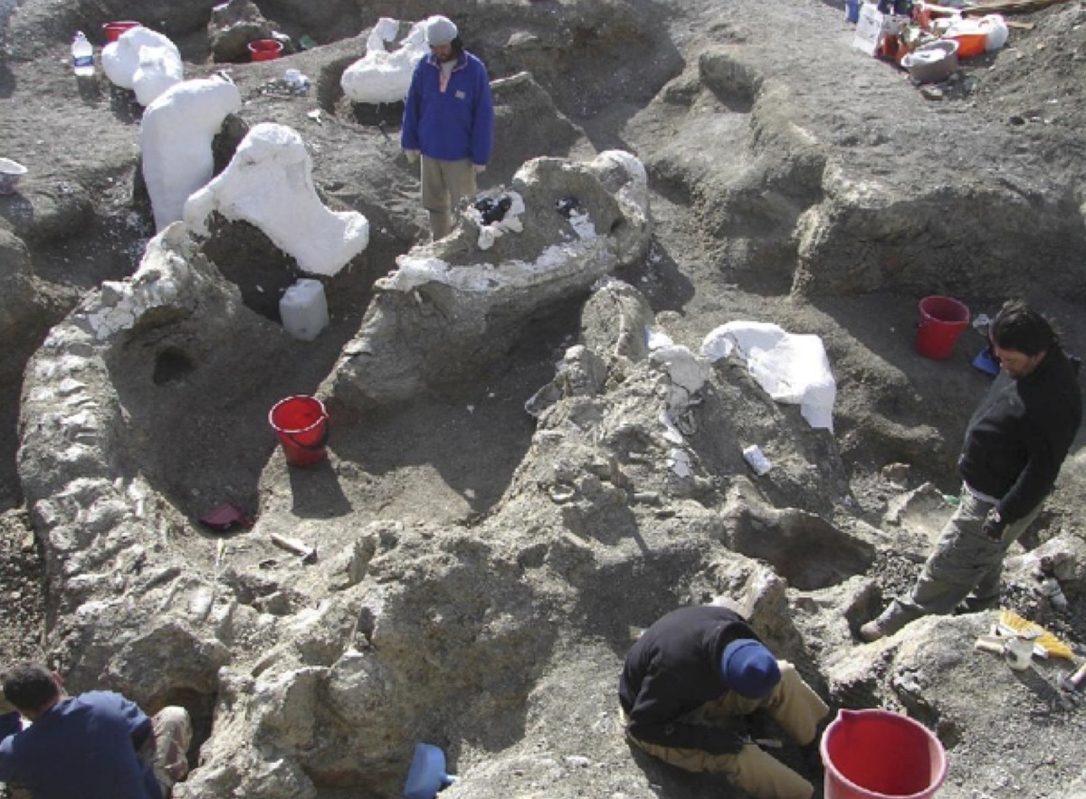 Похороненный во время Всемирного потопа, этот 65-тонный дредноут является свидетельством удивительных существ, которые бродили по допотопному миру, а также чудовищного масштаба этой катастрофы, которая похоронила животных в расцвете жизни. Хотя на ковчеге сохранились представители всех родов динозавров и других дышащих воздухом наземных животных, многие, как например динозавры, подверглись вымиранию в мире после Потопа.