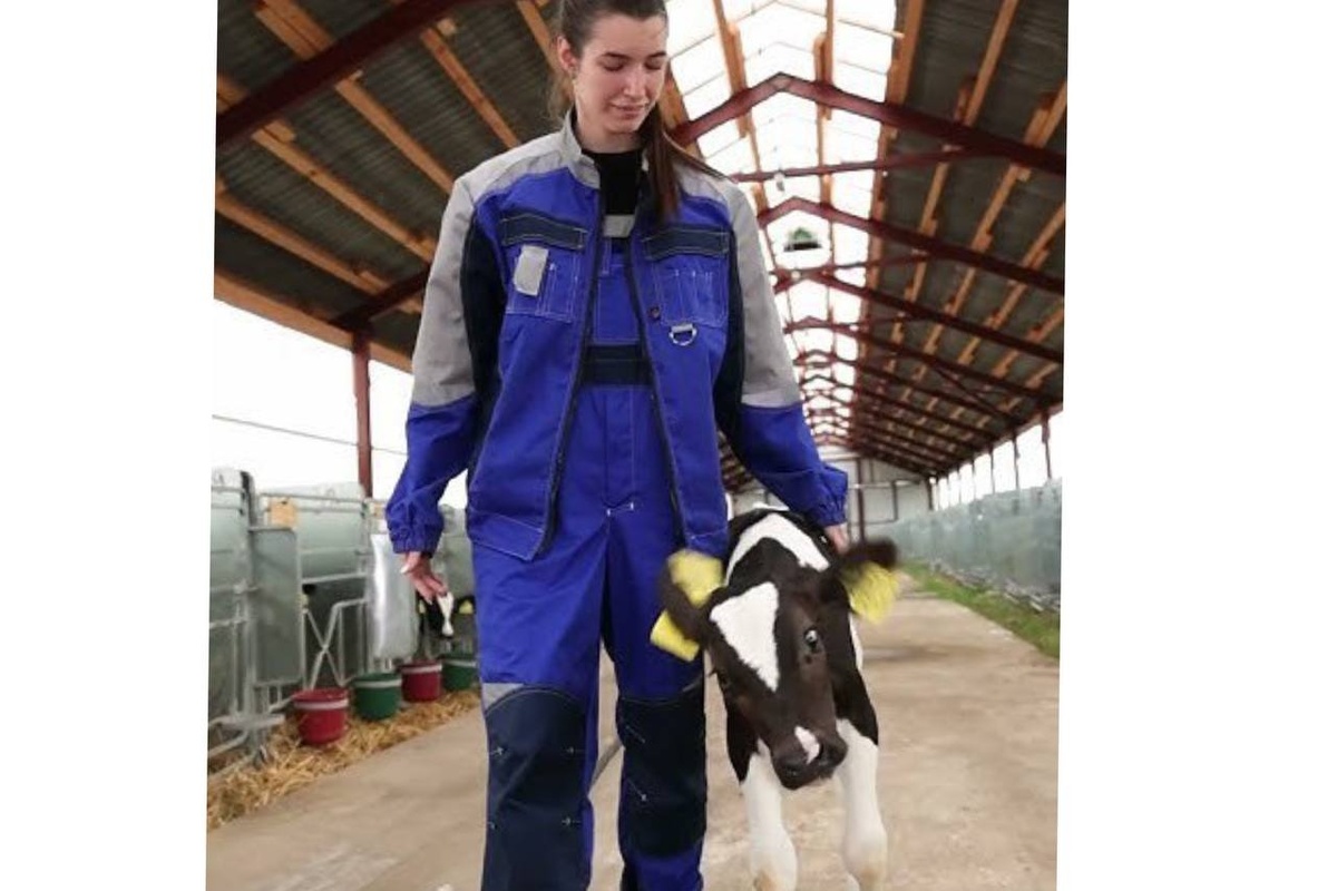    Скриншот из видео