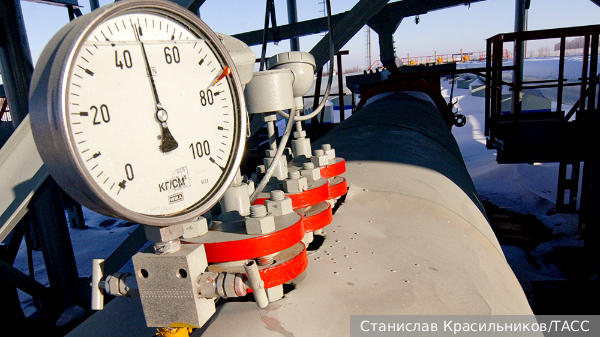     Фото: Станислав Красильников/ТАСС   
 Текст: Кристина Цыцура