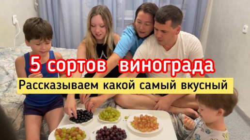 5 сортов винограда в Анапе. Рассказываем какой самый вкусный