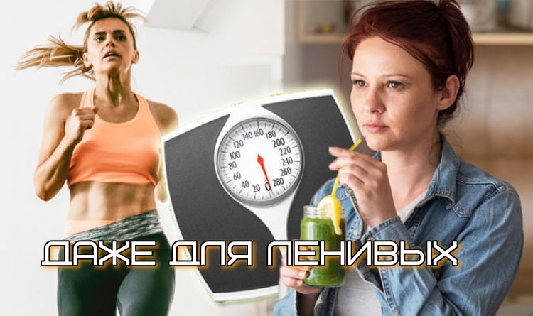 Ленивый план похудения: как сбросить от 5 до 17 кг без подсчета калорий и кухонных весов