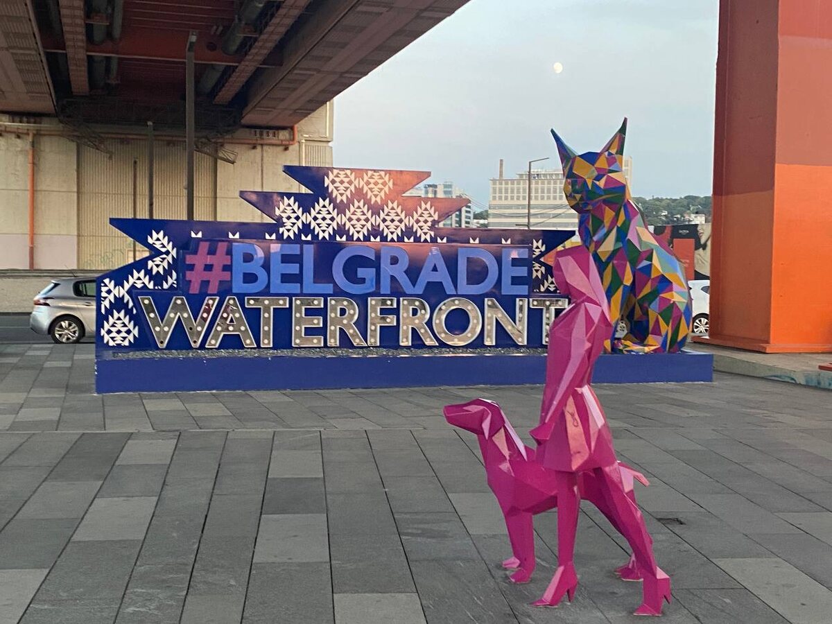 Belgrade Waterfront // набережная, новые намывные территории. Самая дорогая недвига. Сербы ненавидят этот район. Арендуют и покупают здесь жилье, в основном, иностранцы. Аренда стоит 1200 евро / месяц однушка. Покупка - 10 тыс евро / квадрат.