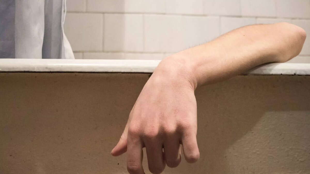     Источник: 1MI