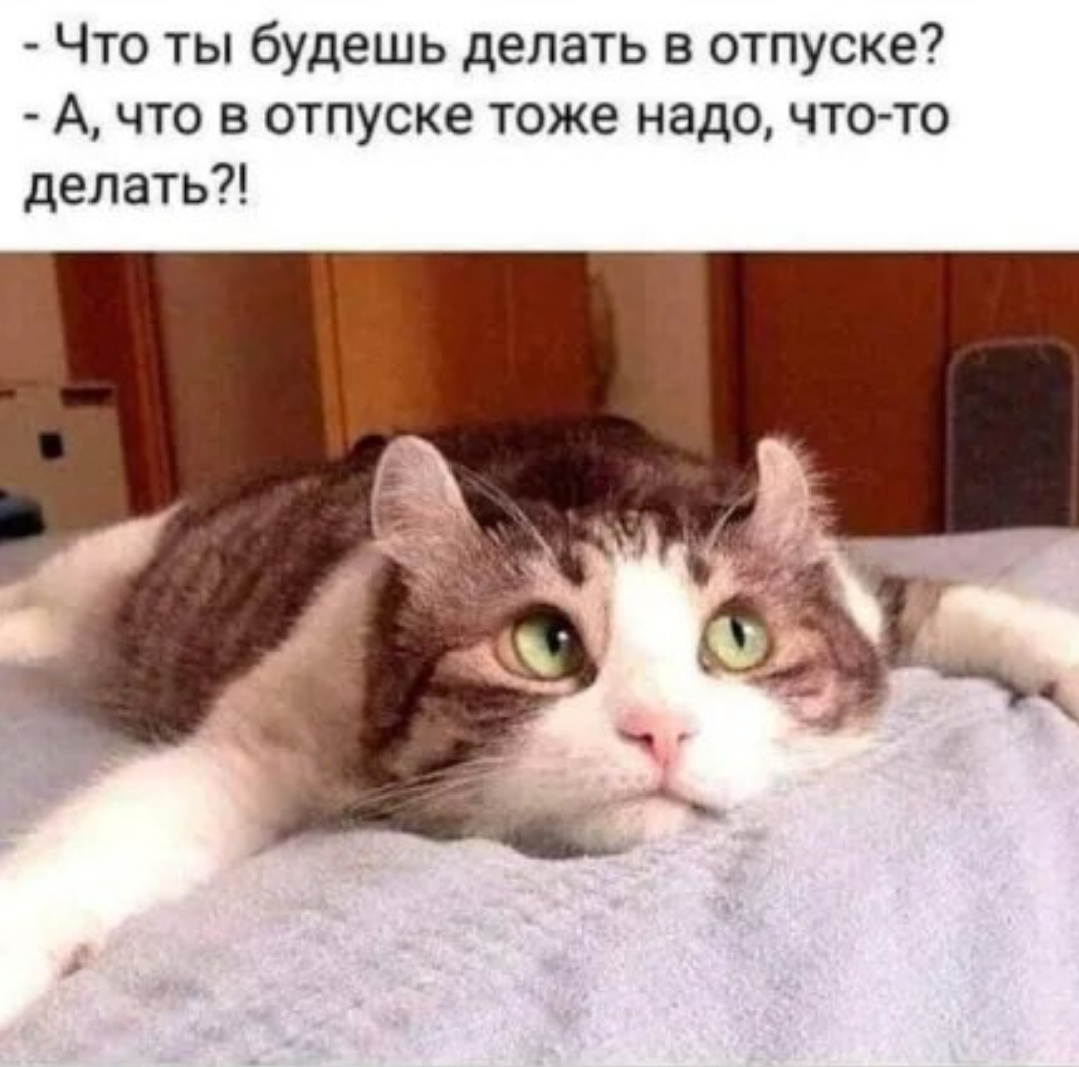 Скан мой.