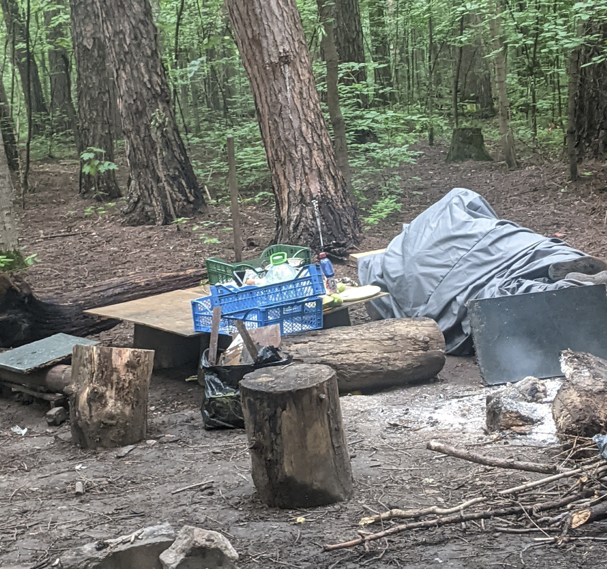 Летний лагерь бывшего человека