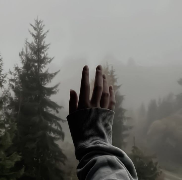 Картинка из интернета