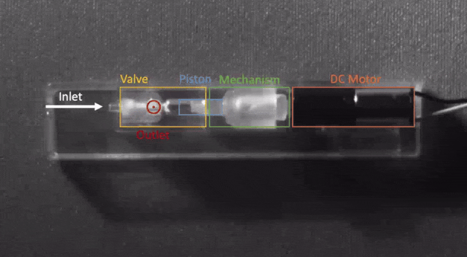   Hen-Wei Huang et al. / Device, 2024