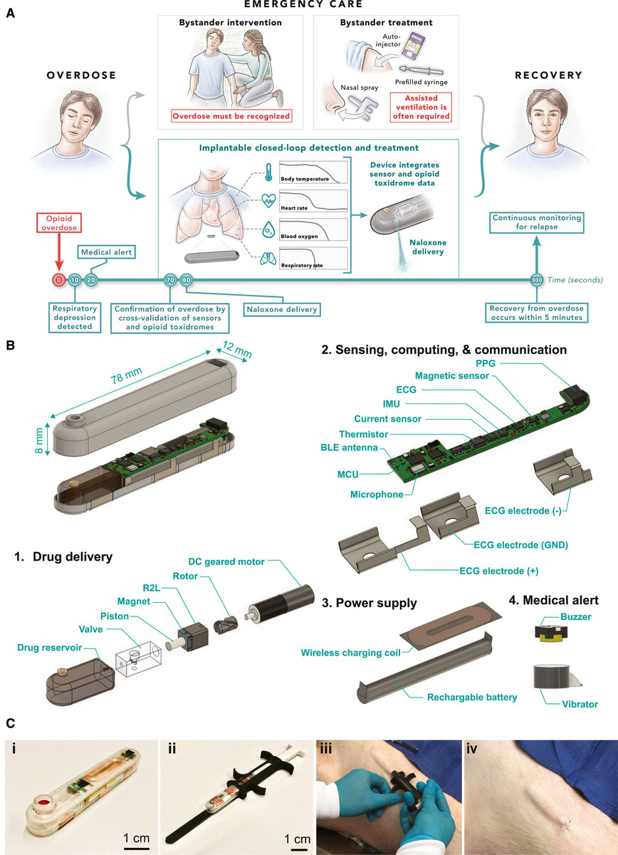   Hen-Wei Huang et al. / Device, 2024