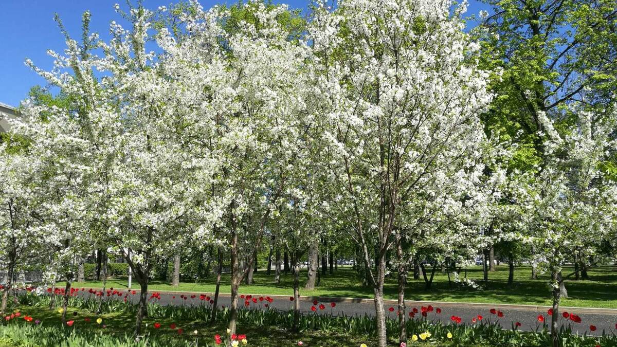     Источник: rosbalt.ru