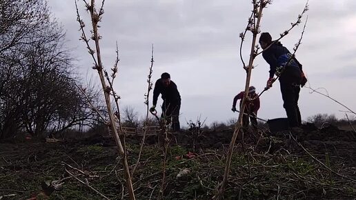 23.03.2023 Настроение огонь. Нельзя, но я купила 😁. Пошли сажать картошку.