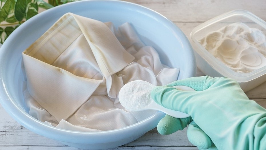 ShutterStock/Fotodom.ru