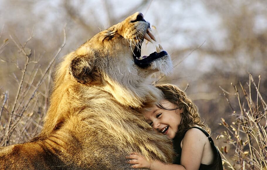 https://p2.piqsels.com/preview/651/462/468/lion-roar-africa-animal.jpg