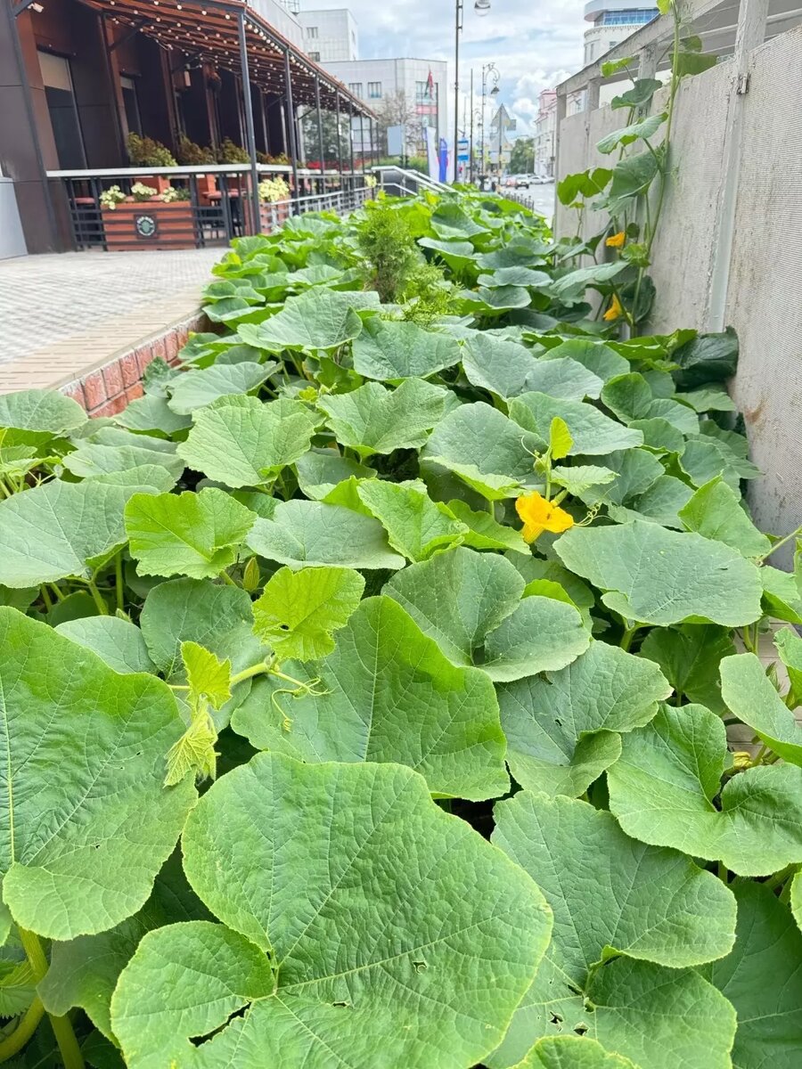     Источник: ЧС Тюмень