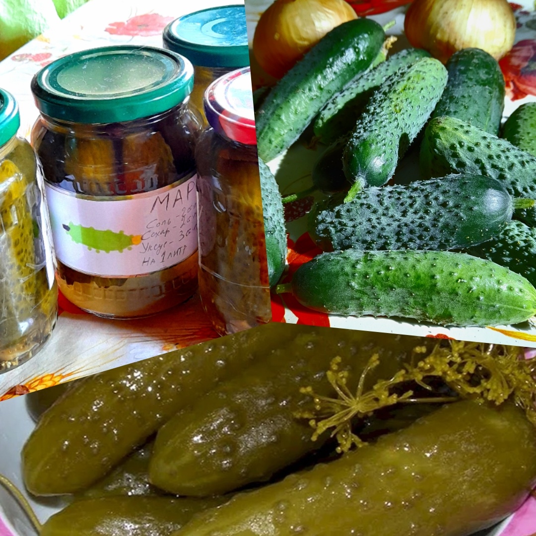 Время солить огурцы