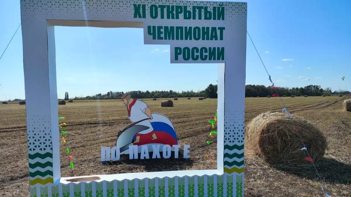 Фото: © Артём Борисов / Glavpahar.ru 11-й Открытый Чемпионат России по пахоте 2024 года