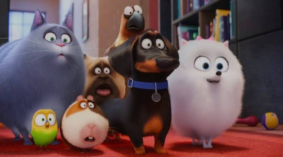 Домашние животные это не только приятно, но и полезно, они показывают нам очень важные процессы и даже пытаются помочь. ⠀
В натальной карте один и тот же сектор отвечает за здоровье самого человека и за домашних животных, можно понять есть ли вообще показания на то, чтобы заводить домашнее животное.

Поэтому, когда 6-й дом густо населён планетами, астролог точно будет предлагать варианты взаимодействия с домашними животными, чтобы стянуть напряжение с самого человека. 
Домашнее животное - это как лакмусовая бумажка, если у него начинаются проблемы по здоровью, значит точно нужно работать с эмоциональными причинами хозяина, которые это создают.

Характер домашних животных очень ярко говорит о чертах хозяина. И чем больше хозяин подавляет в себе какие-то качества, тем ярче животное это будет отзеркаливать.

Важно понимать, кто подходит именно Вам?!