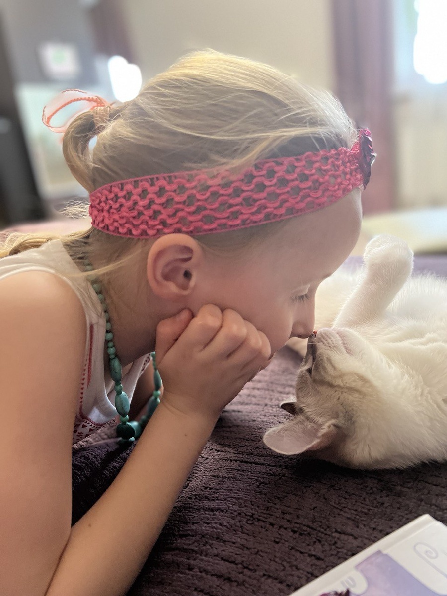 Например, котики 🐈, их характер складывается из синтеза характеристик Луны и 6-го дома хозяина. Коты в принципе идут под Луной (поэтому больше зеркалят именно хозяйку). Примеры, когда коты царапаются и кусаются - однозначно сигналят о подавляемой злости и агрессии. Если животное пакостничает или гадит - оно компенсирует состояния депрессии, «гадко и неприятно на душе», коты неласковые, которые прячутся от хозяев, говорят о состоянии «отшельника», желания убежать от всех, в том числе и от себя. 