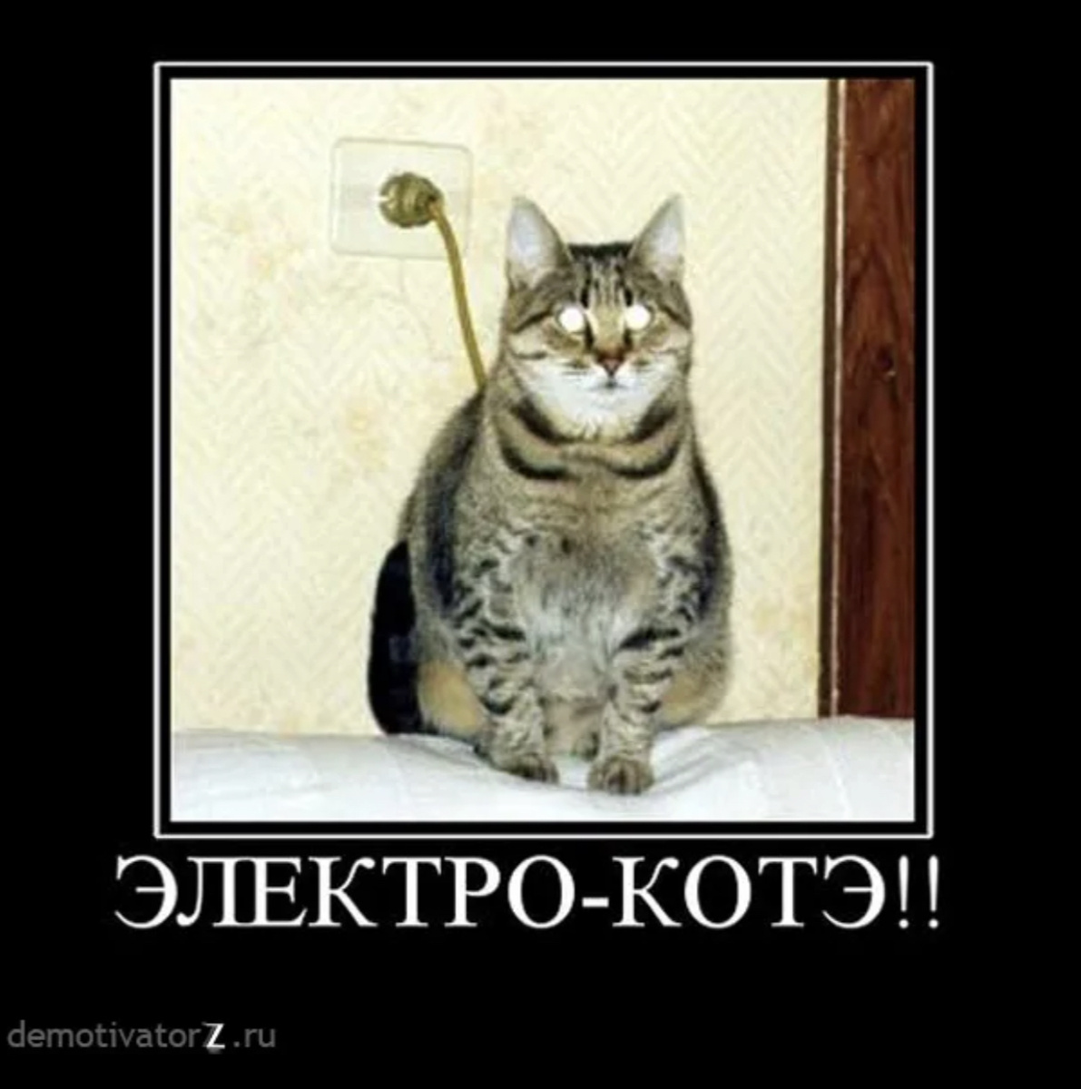 Оскорбления никому не приятны