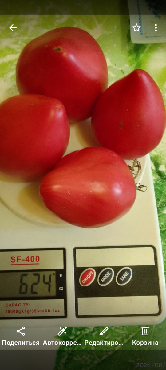 Фото из моей галереи