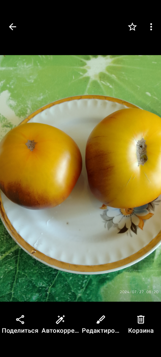 Фото из моей галереи