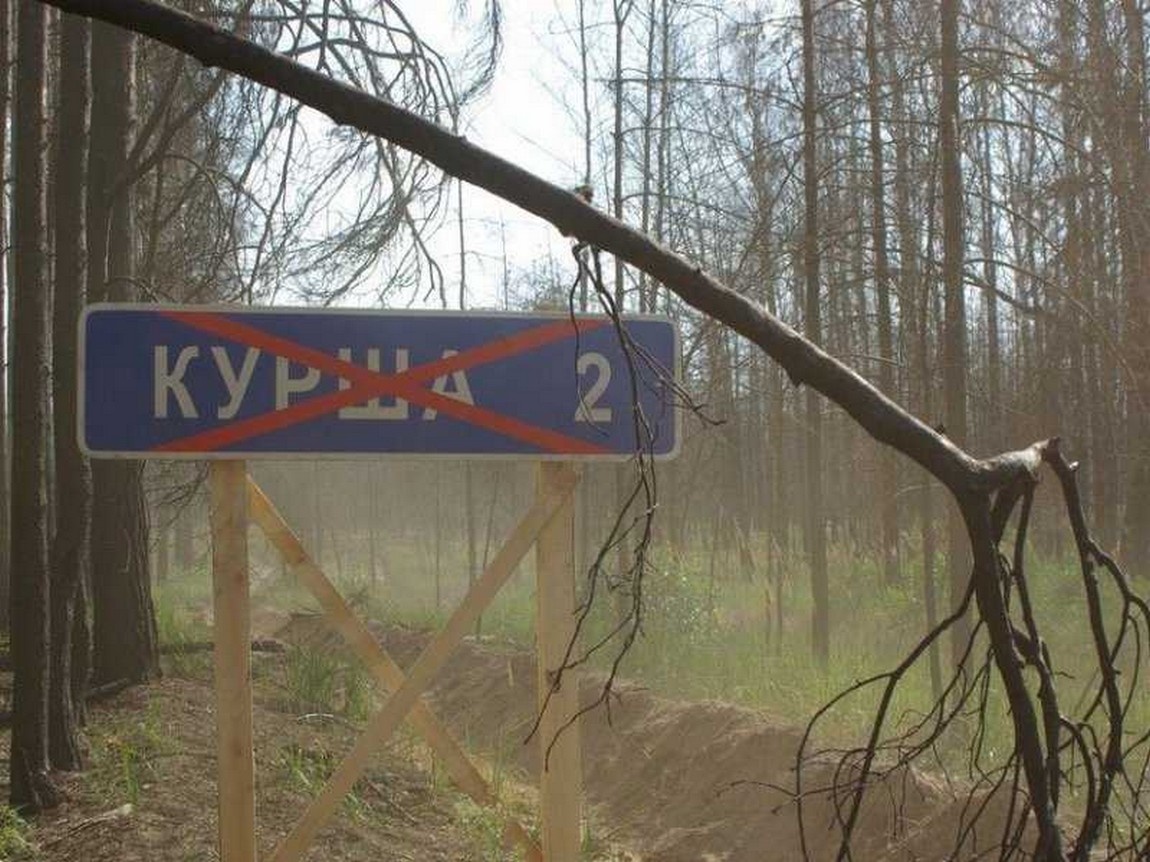 (заимствовано)