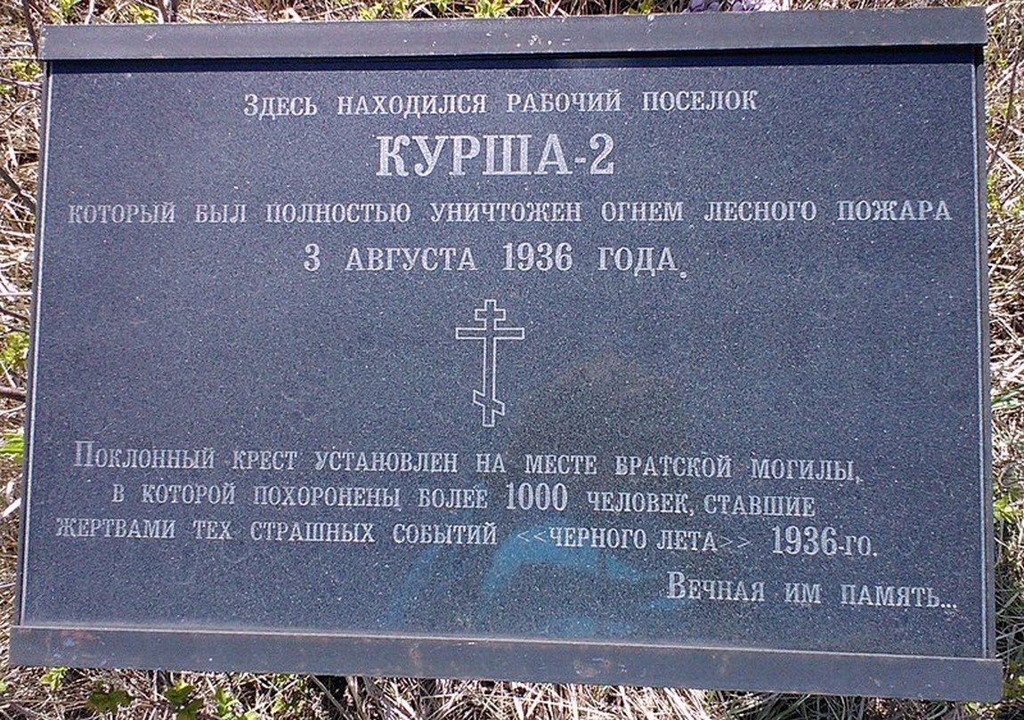 (заимствовано)