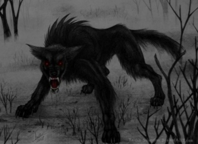 Изображение из Интернета