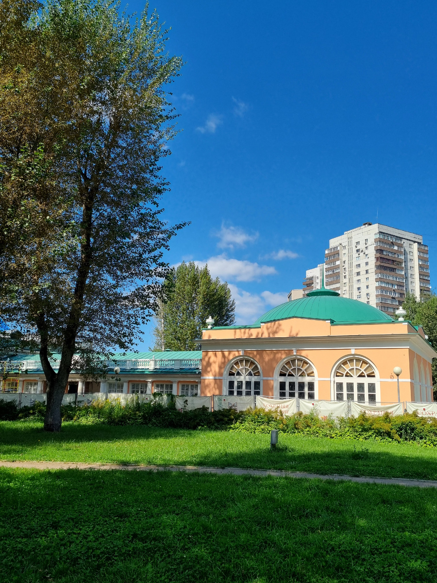 Парк «Усадьба Воронцово» (Воронцовский парк). Фото автора статьи.