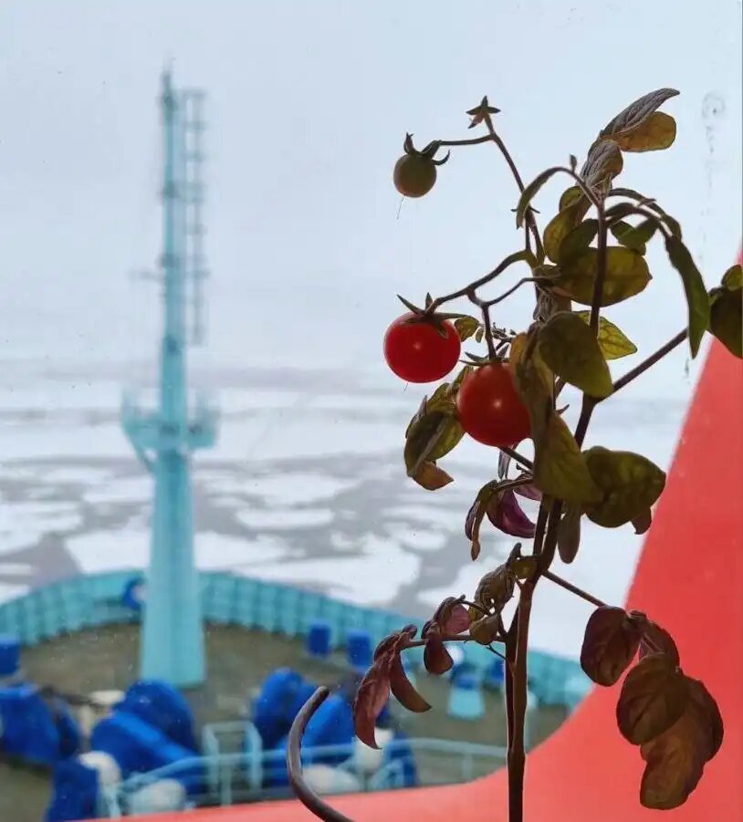 Фото главного физика универсального атомного ледокола Урал ФГУП Атомфлот Ильи Сазонова