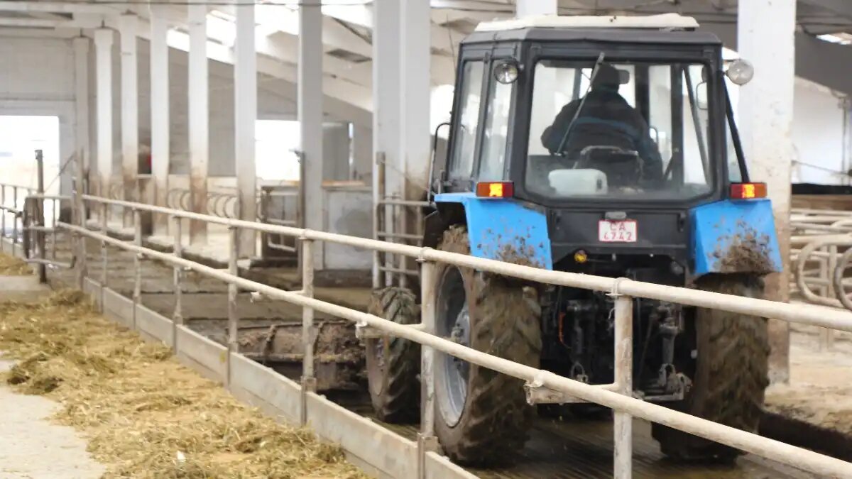 Фото:© Владимир Исаенко / Glavagronom.ru Донской парламент предложил внести изменения в закон о навозе для ЛПХ