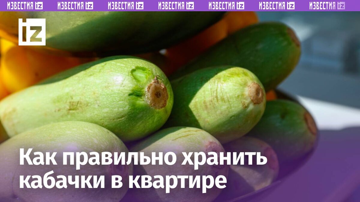 Фото: www.globallookpress.com