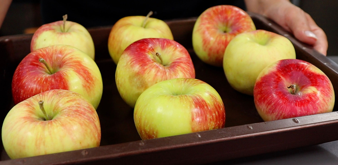 Яблоки никогда не пропадают - их даже не хватает: кладу в форму, заливаю тестом и выпекаю