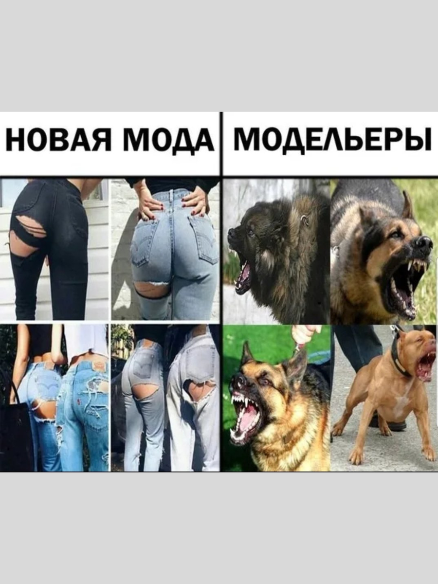 Картинки приколы смешные с надписями