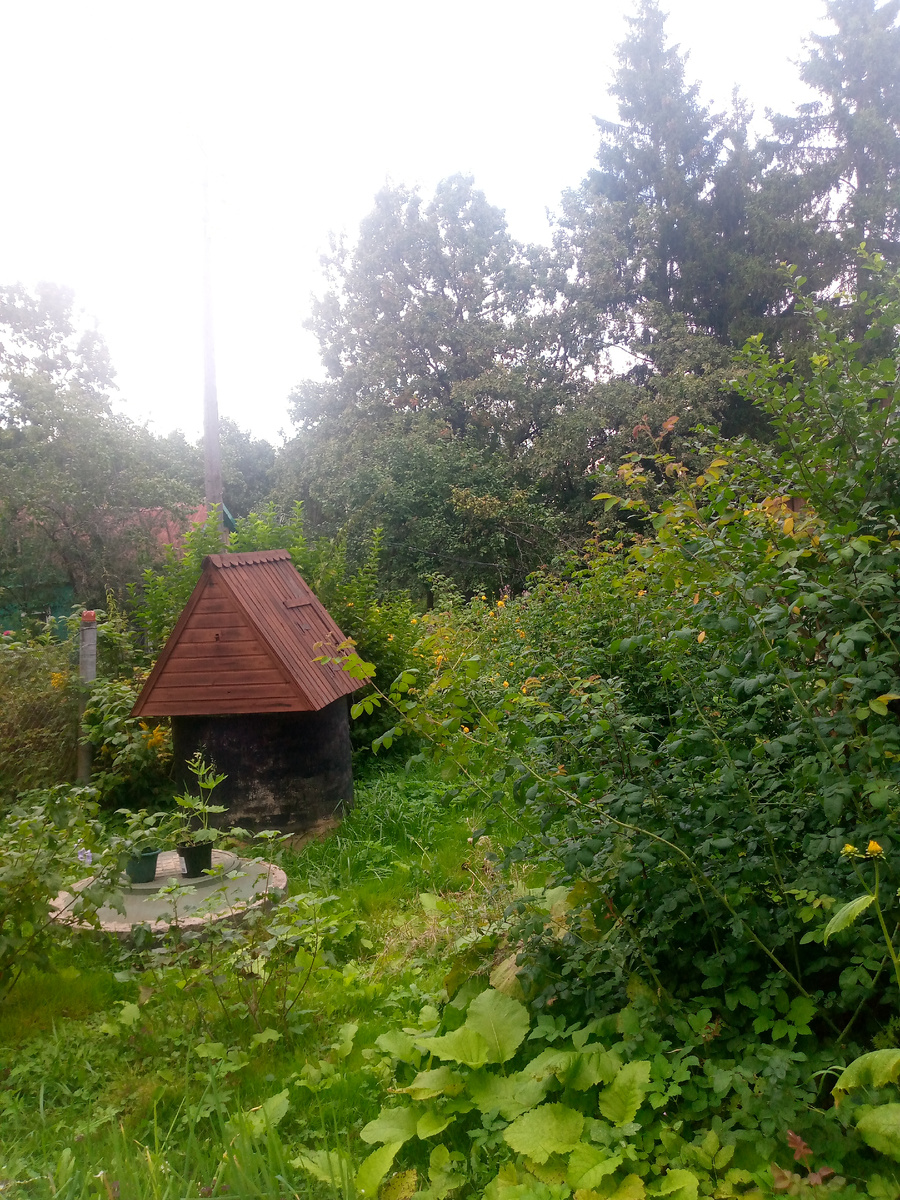 Все поросло травой 