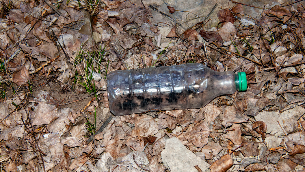    Фото: Svetlana Vozmilova/Globallookpress