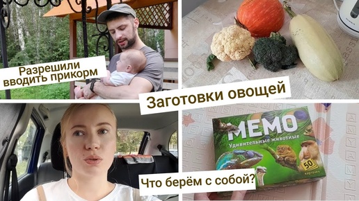 Едем на базу🏕 Разрешили вводить прикорм🥦 Заготовки овощей на зиму🍅 | 4 месяца и 1 неделя