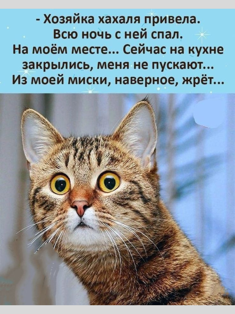 Picture background
